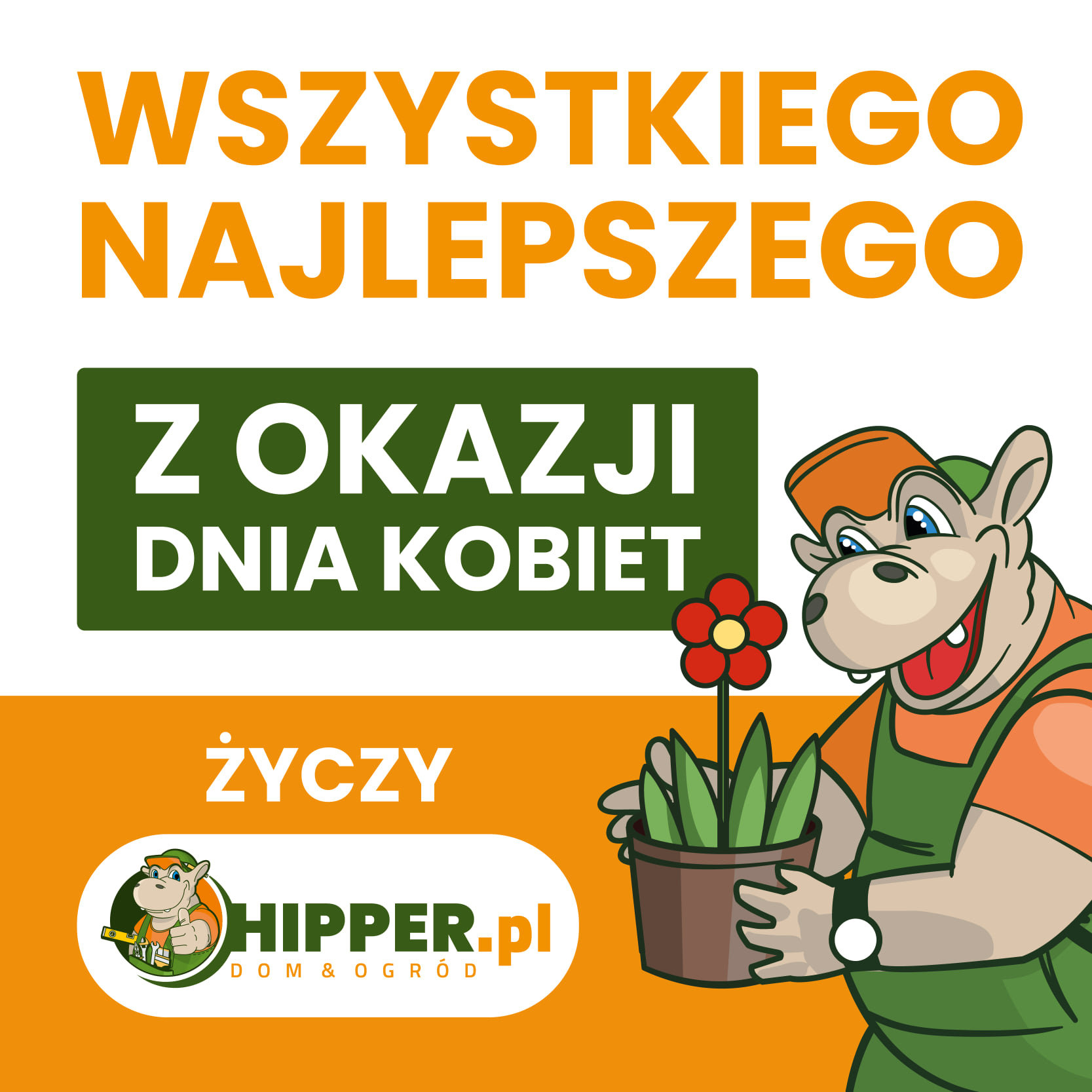 HIPPER.pl