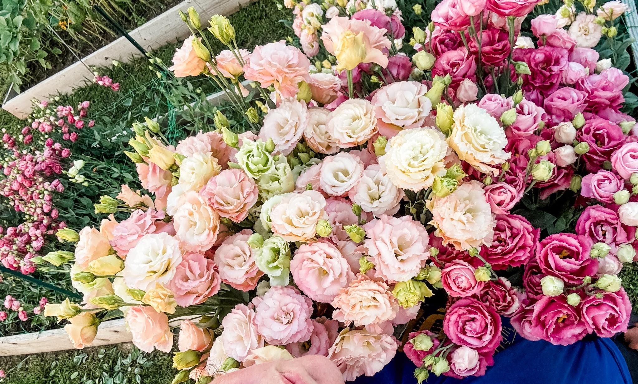 Feezor Road Flowers | Farmington MO