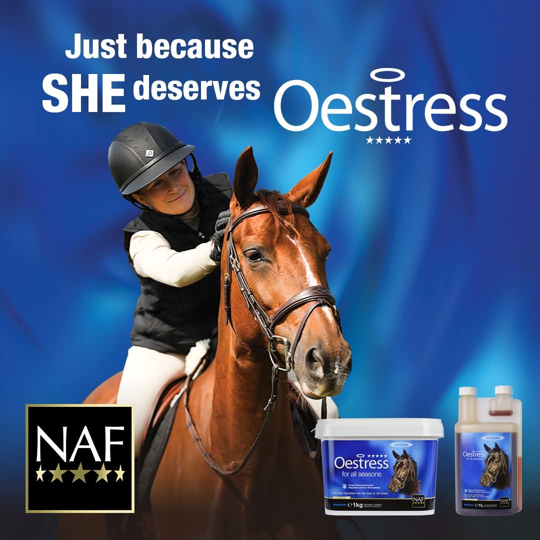 Todds - Understanding your mare, you know how good she can be 🐎 Every ...