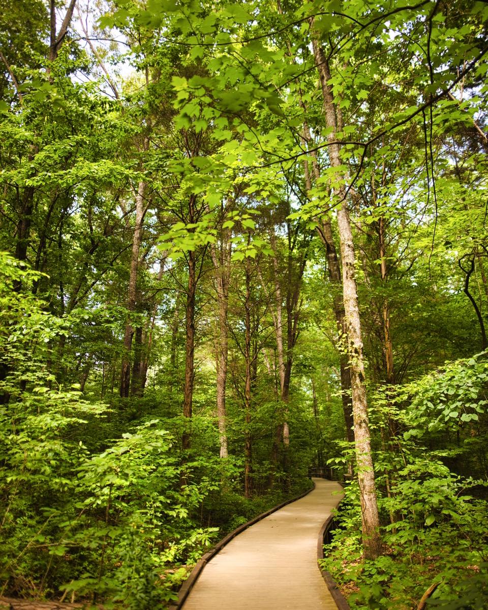Springtime is trail time 🥾🌳... - Visit Cave City, Kentucky | Facebook