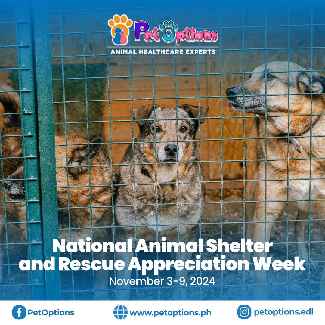 Pet Options - 🐾 ️ It's National Animal Shelter and Rescue...