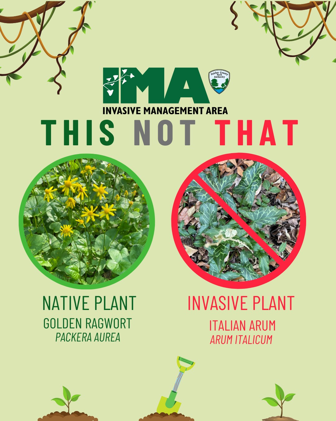 Fairfax County Park Authority - 🍃 #NationalInvasiveSpeciesAwarenessWeek ...