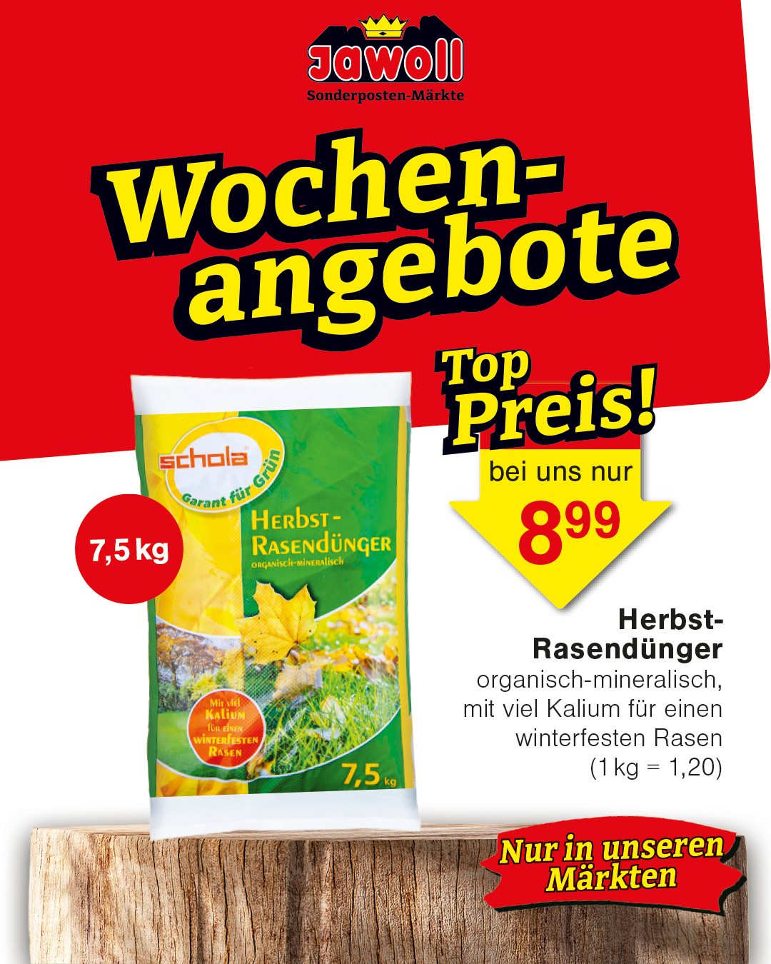 🍁 Herbst-Highlights entdecken! 🍁 Die neue Jahreszeit ist da und mit ihr jede Menge tolle Produkte für Haus, Garten und den Alltag. Ob zum Verschönern, Organisieren, Wohlfühlen oder einfach für die kl