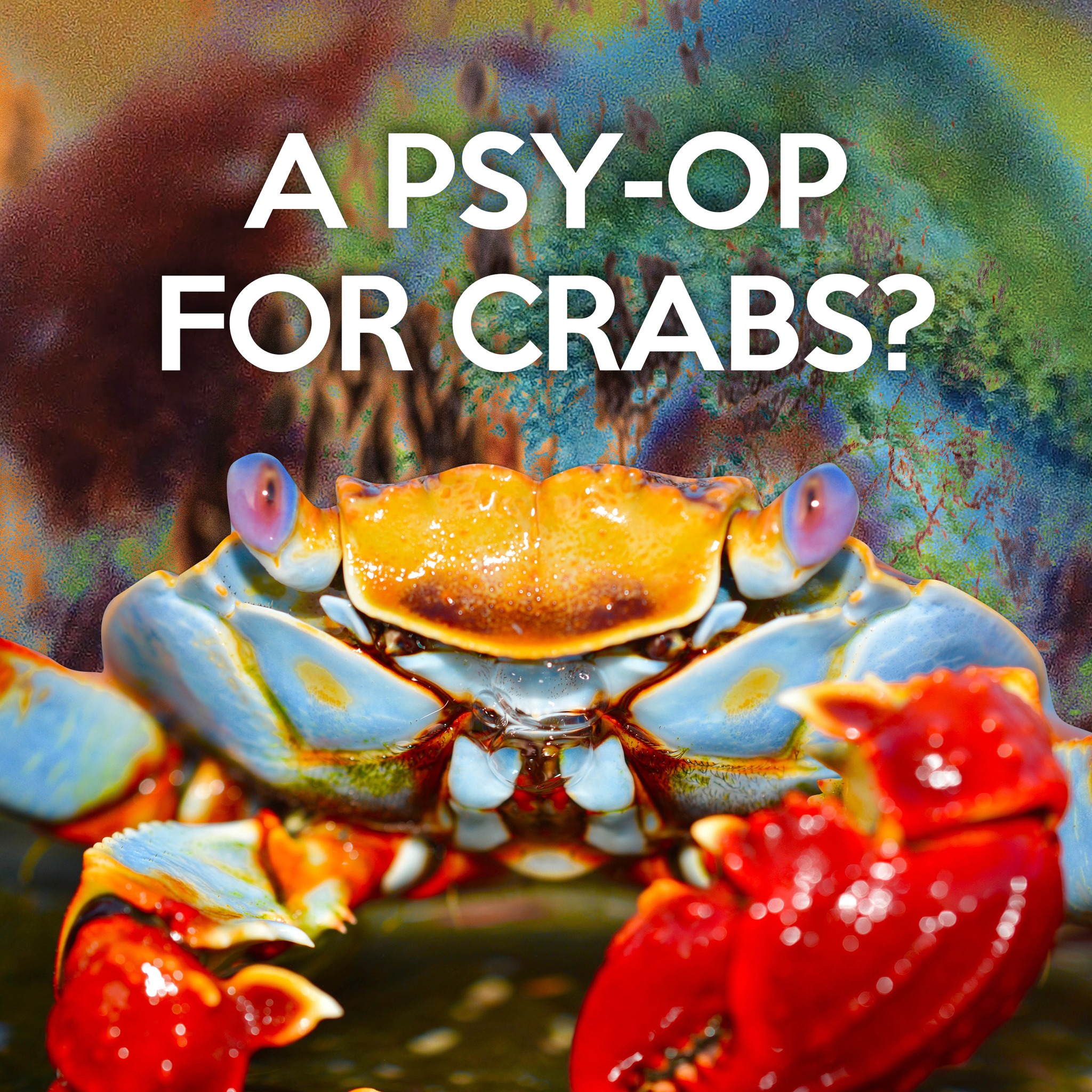 Crab - Crabs have been used widely in popular culture, from Mr