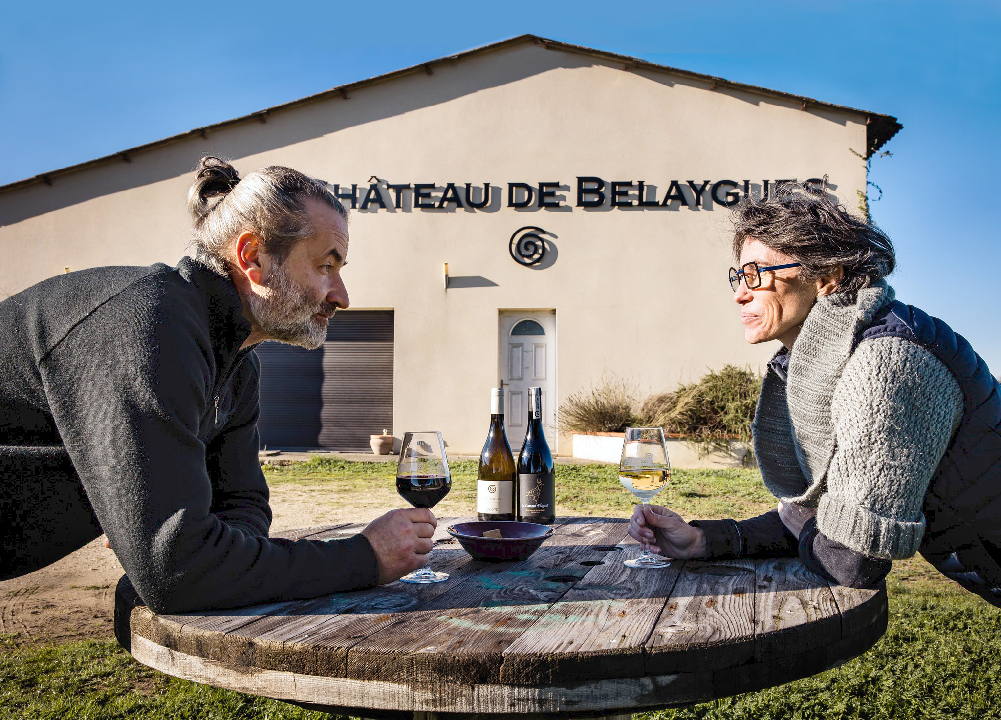 Château De Belaygues - AOP Fronton