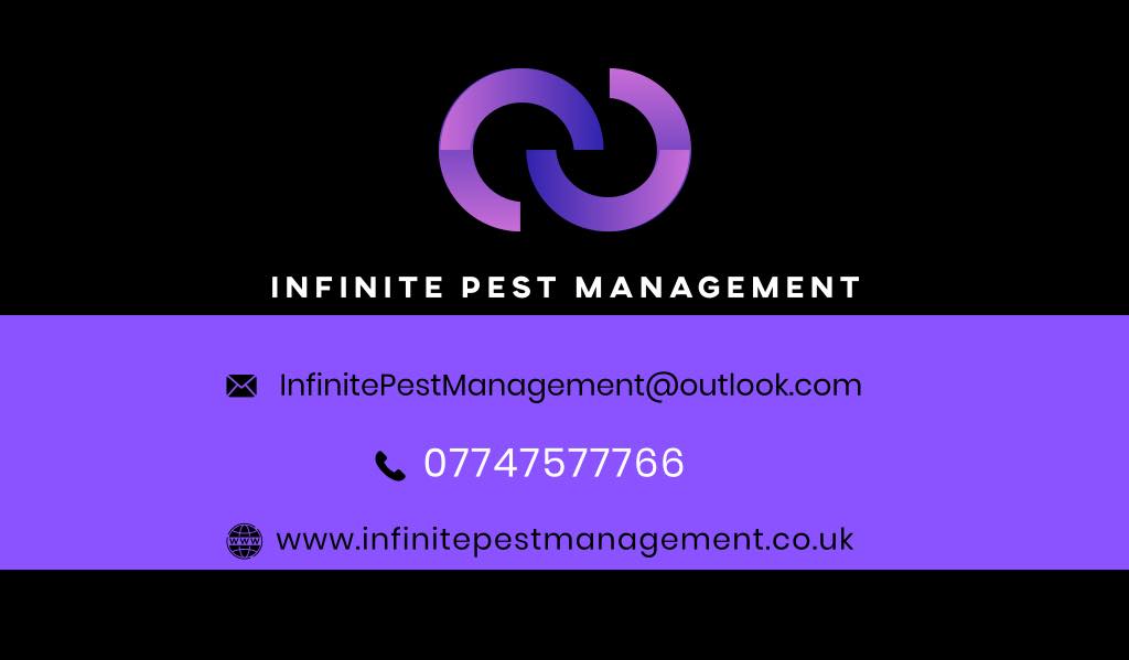 Infinite Pest Management | Birmingham