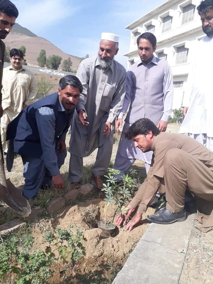 Govt. College of Commerce and Management Sciences Timergara Dir Lower | Dir