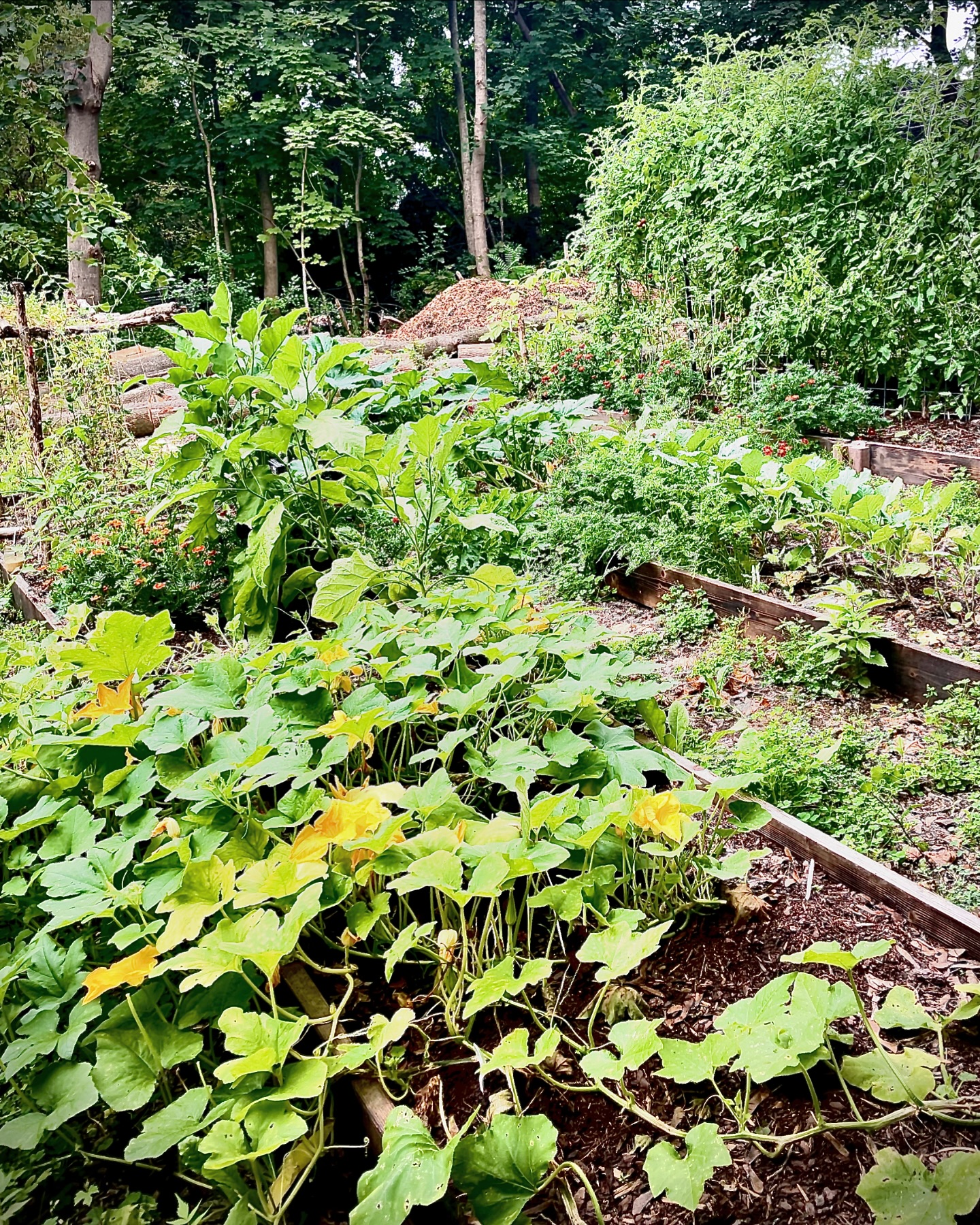 Rustic Roots | Shelburne VT