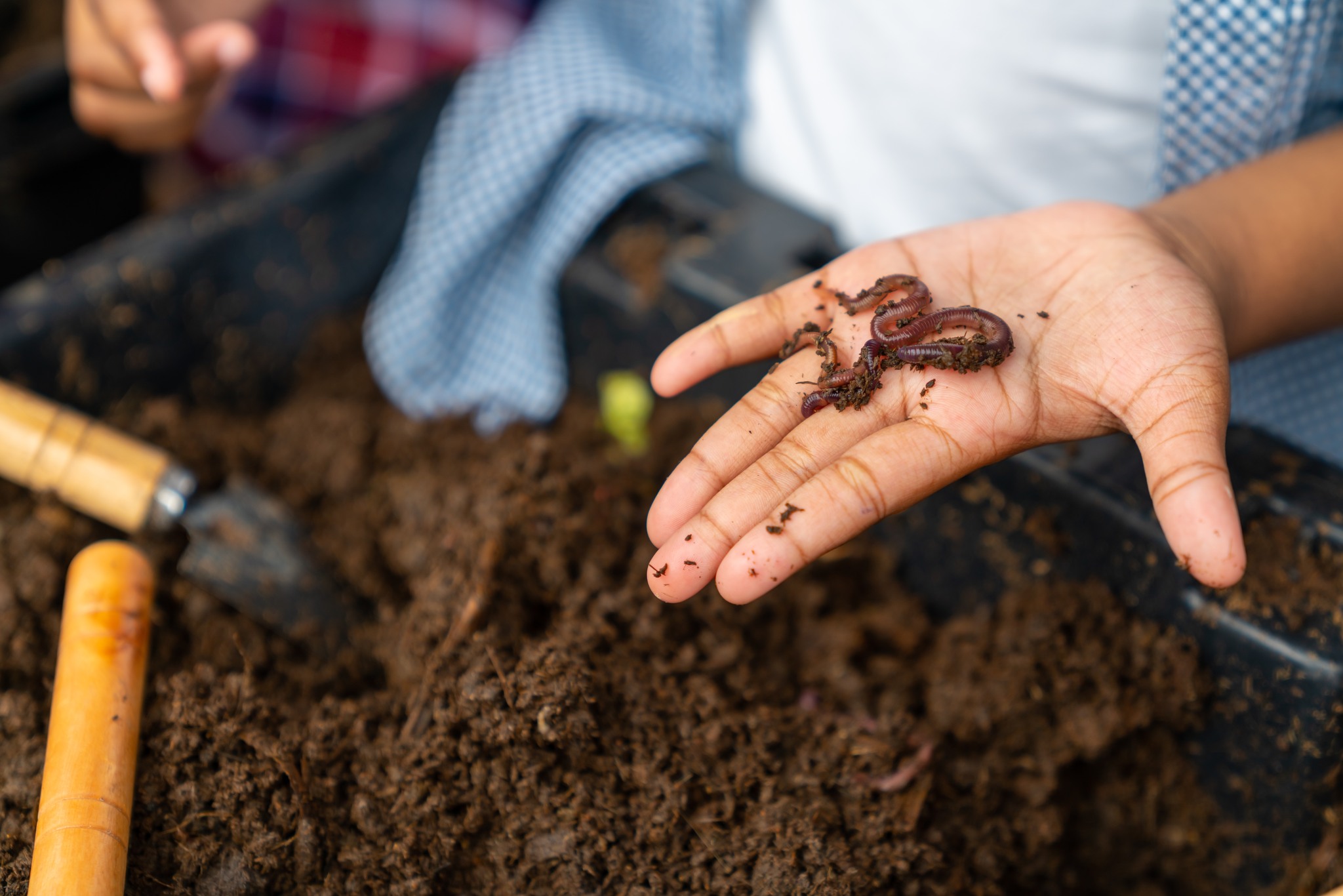 Town - 🌿 Time to dig in and learn about compost! 🌿 Did you know the ...