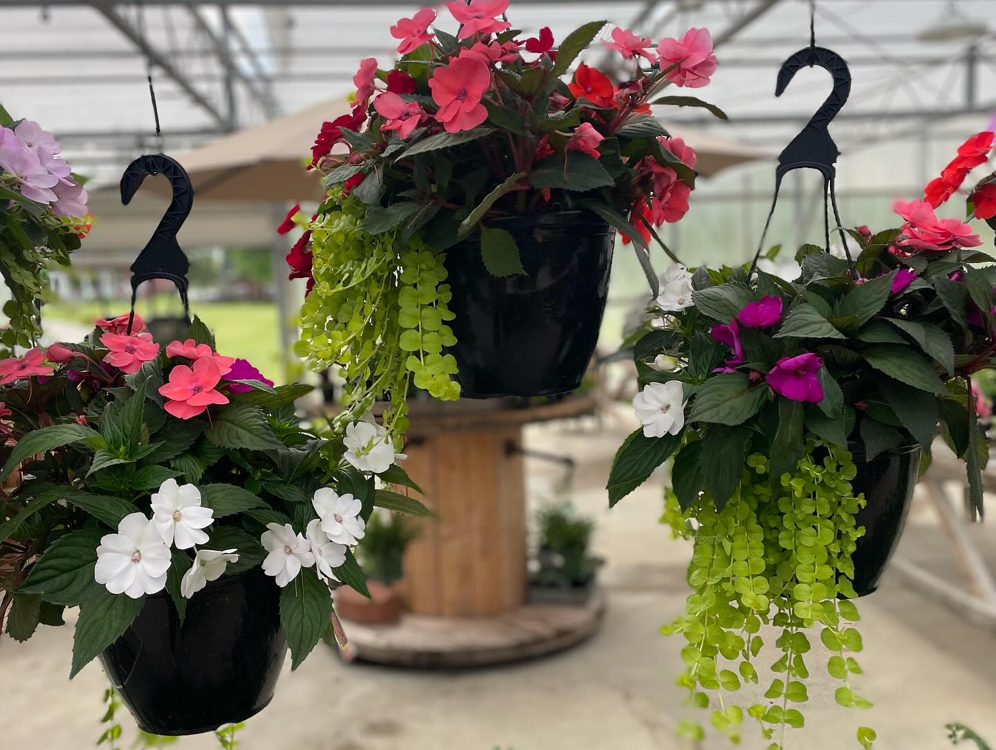 Redefined Roots Garden & Greenhouse