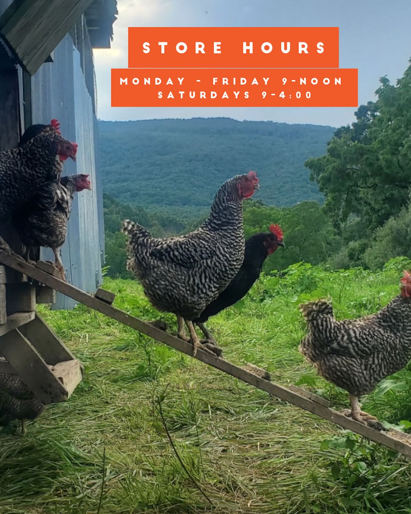 Polyface Farm - Let the season begin 🥳 Store is now open... | Facebook