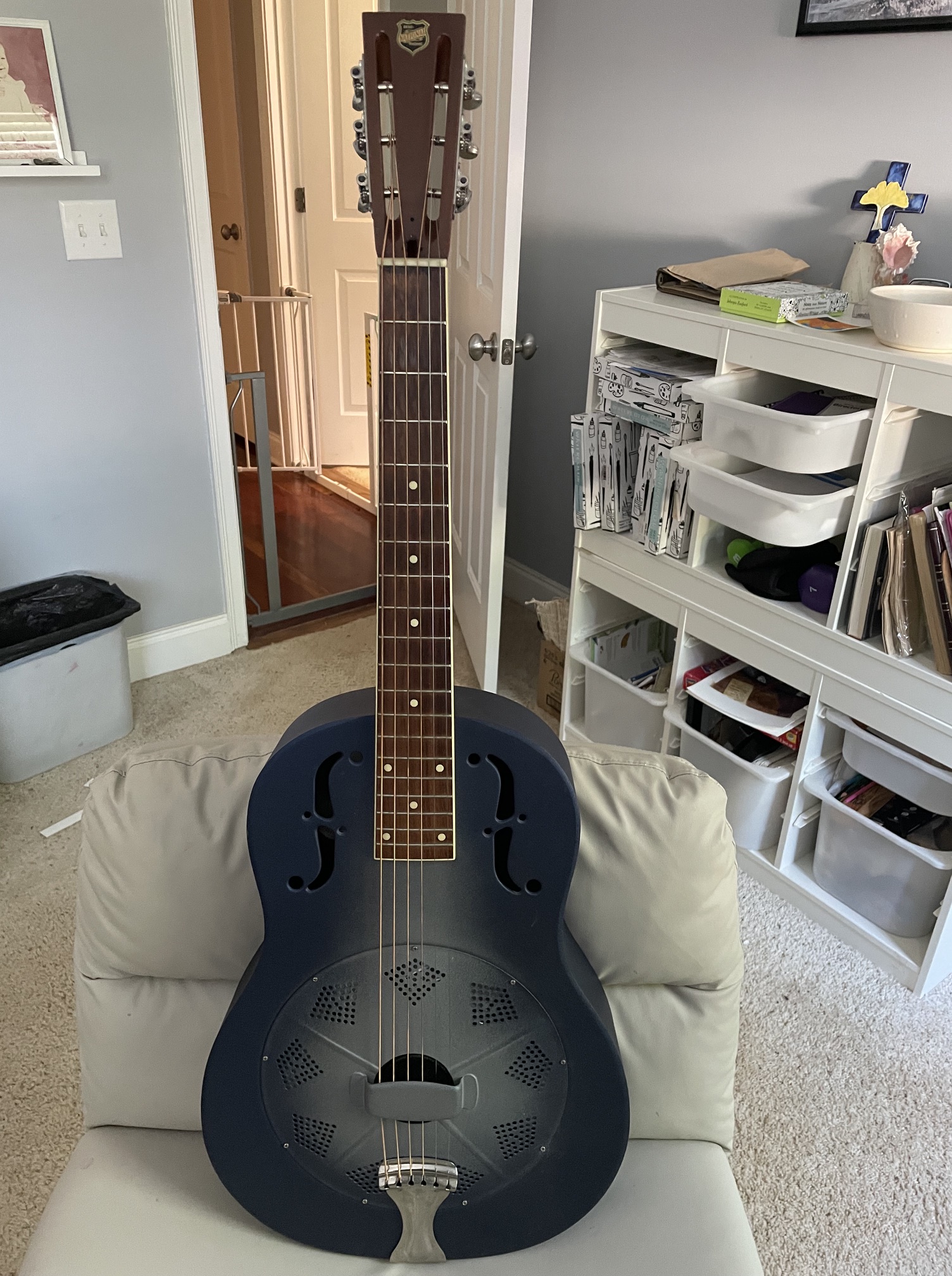 National Delphi resonator guitar with pickup review