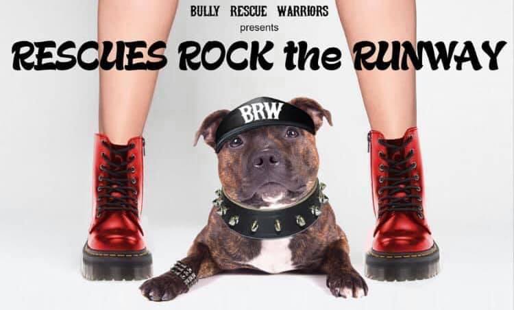 Our 4th Annual Rescues Rock the... - Bully Rescue Warriors | Facebook