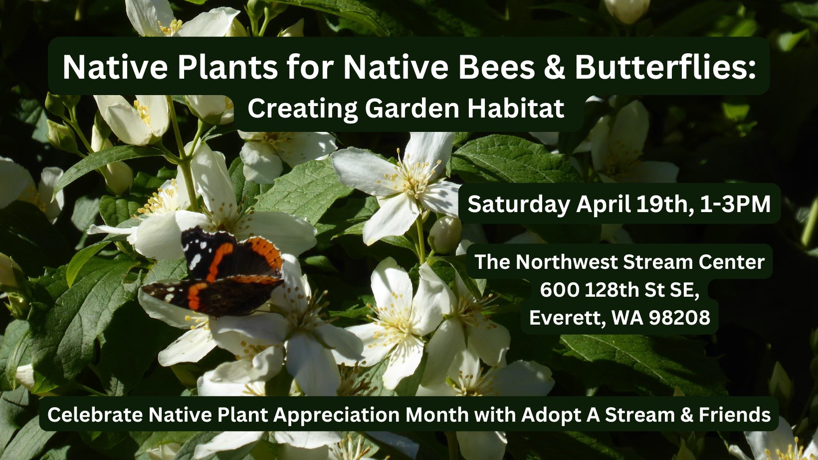 Pacific Northwest Plant Enthusiasts | Facebook