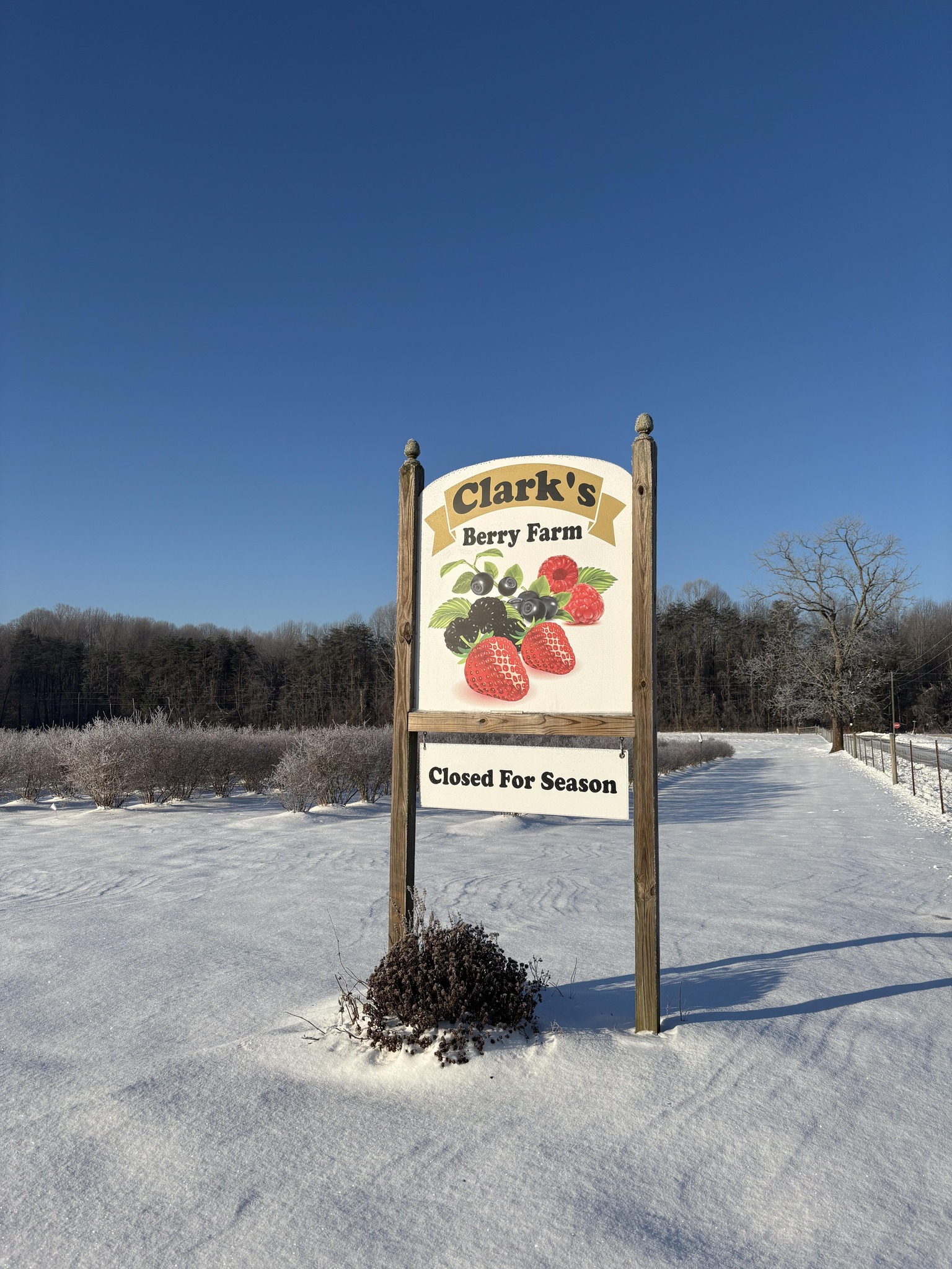 Clark's Berry Farm | North Vernon IN