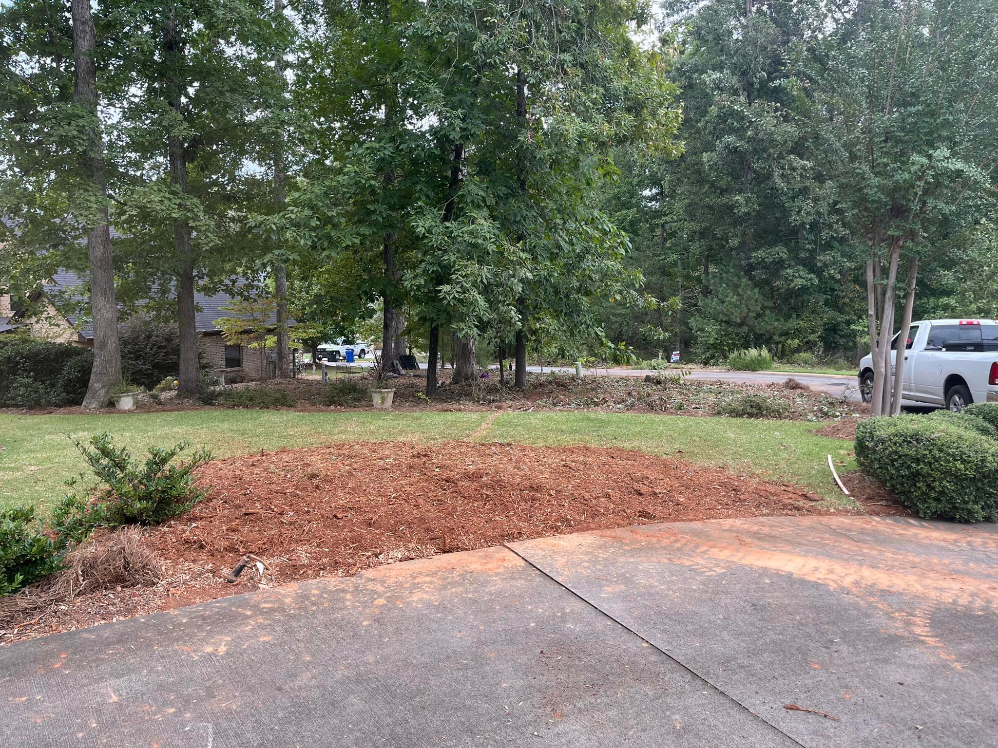 Grinder Stump Removal | Lyman SC