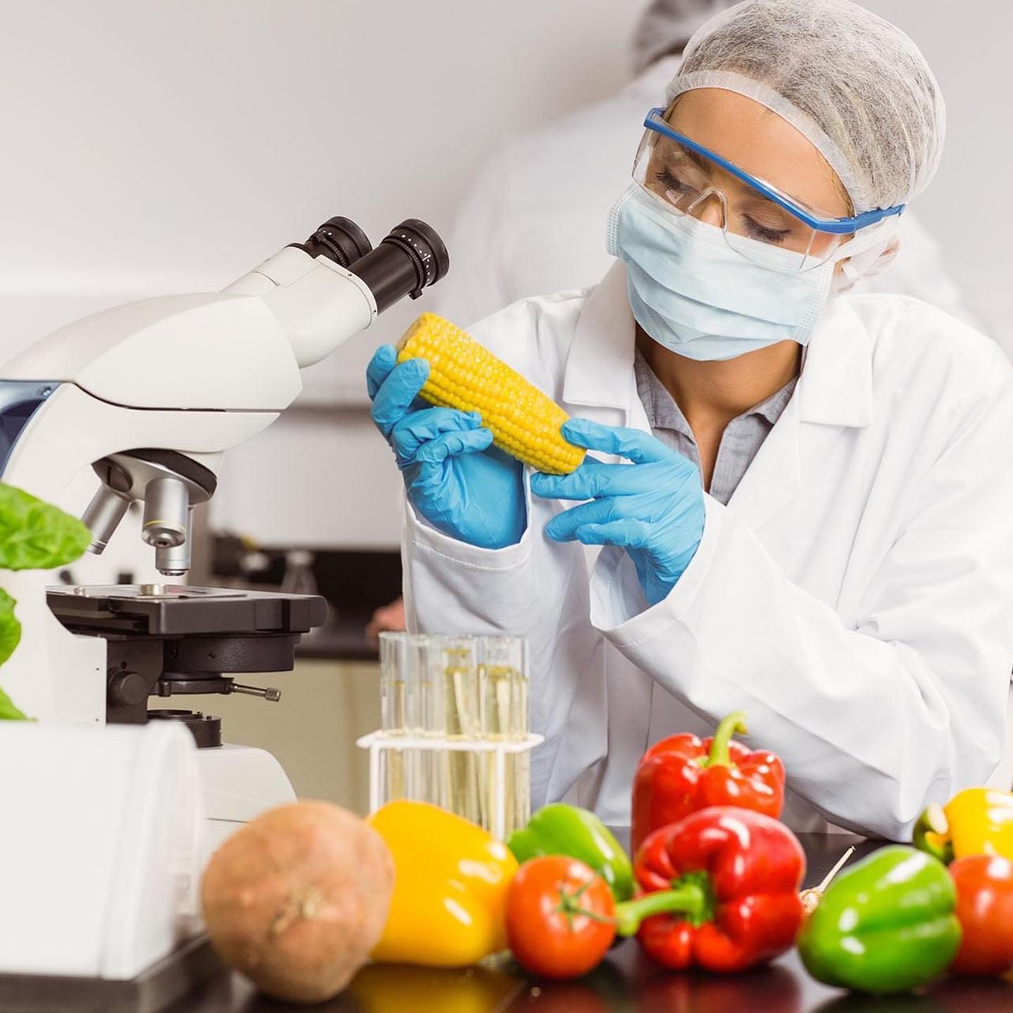 Al-Majid Food Testing Lab | Jleeb al Shuyoukh