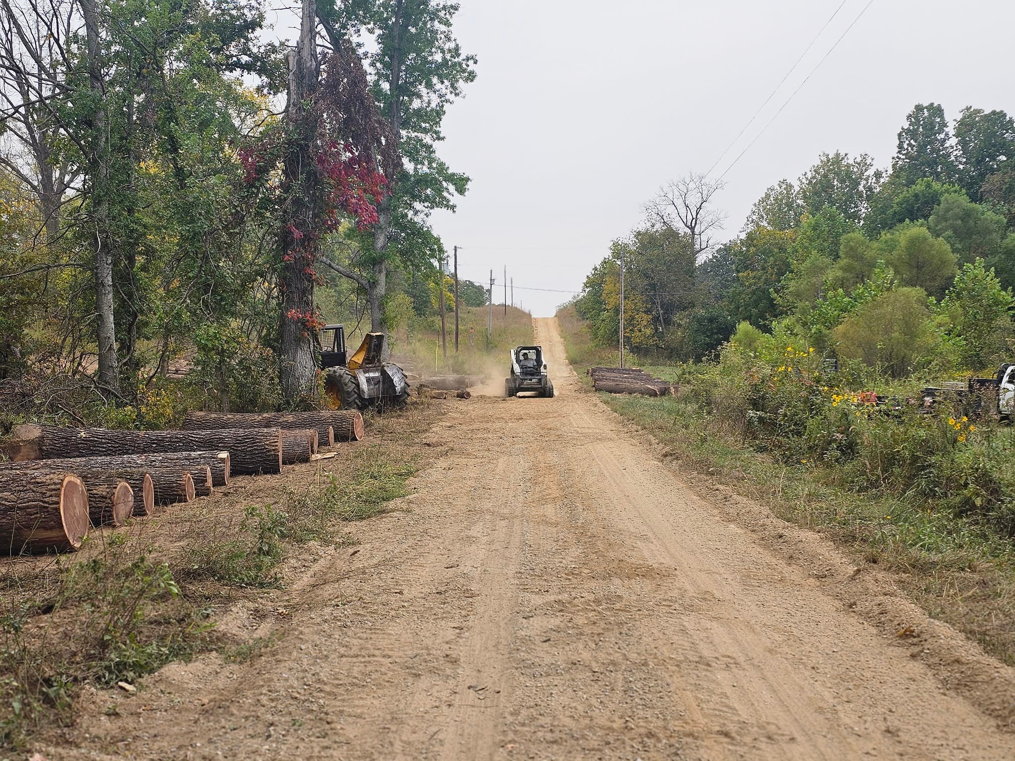 4-state walnut logging | Anderson MO