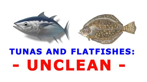 George - TUNAS AND FLATFISHES: UNCLEAN By George Lujack Most Jewish ...