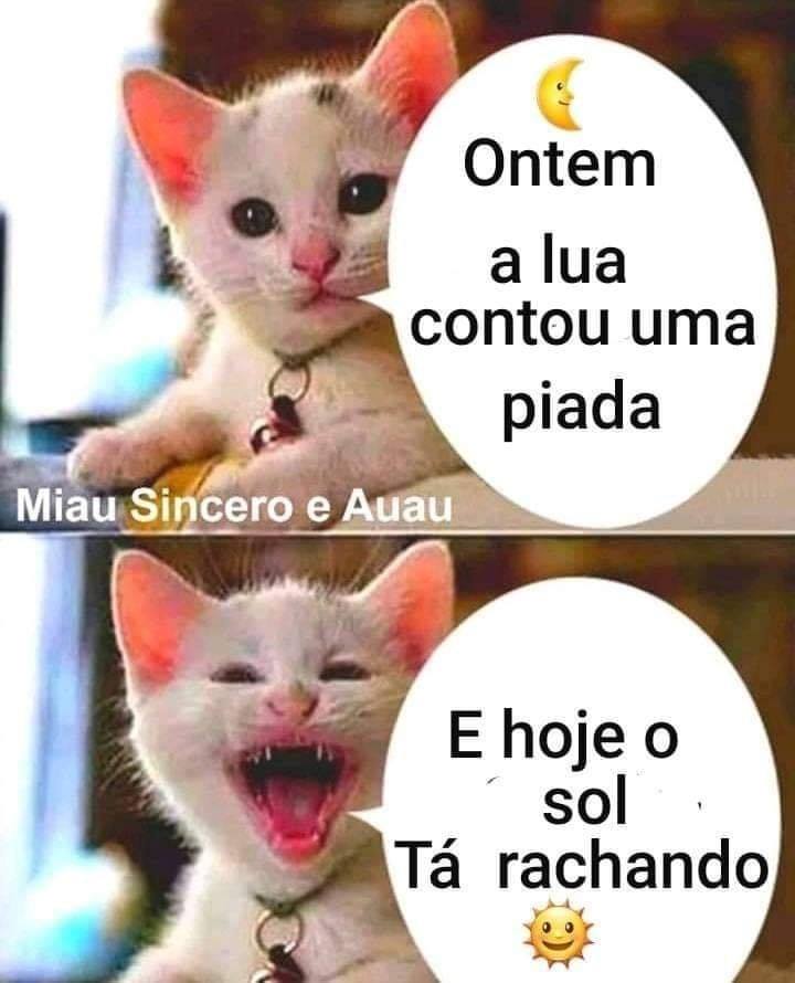 Memes Tonho Da Lua Mulheres De Areia: 11 Motivos E Curiosidades Para