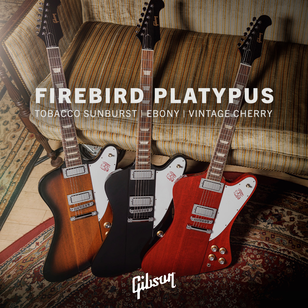 🔥Firebird Platypus 登場🔥 1965年初頭、ファイヤーバードは進化の