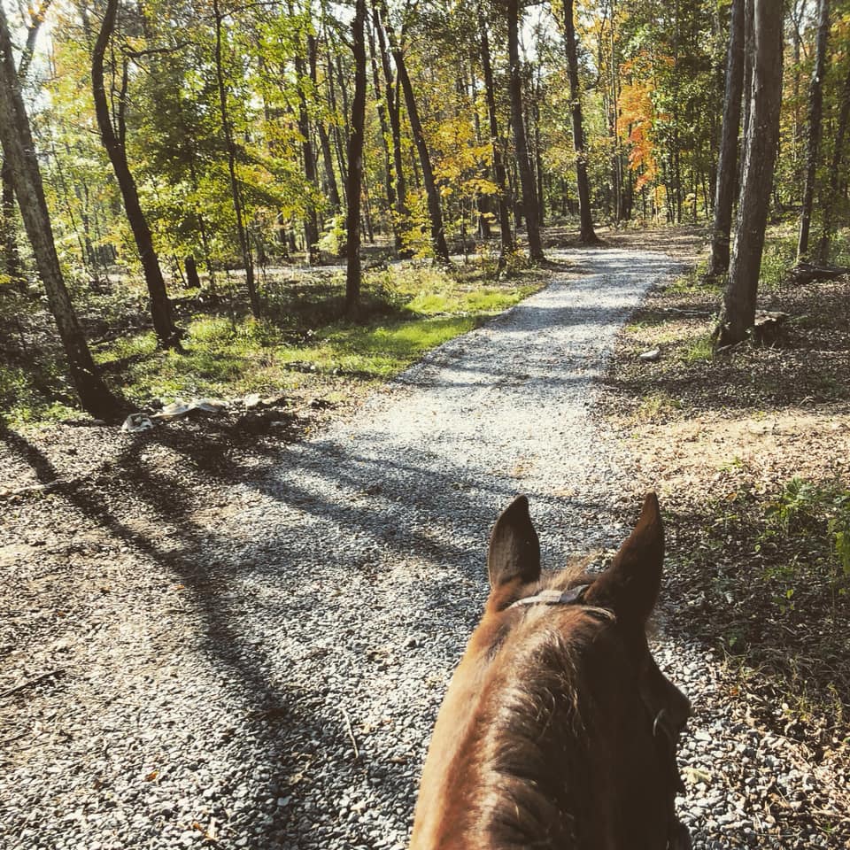 The leaves are changing, the sun... - ThorSport Farms & Ranch | Facebook