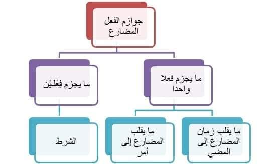 صفحة الإعراب جوازم الفعل المضارع Facebook