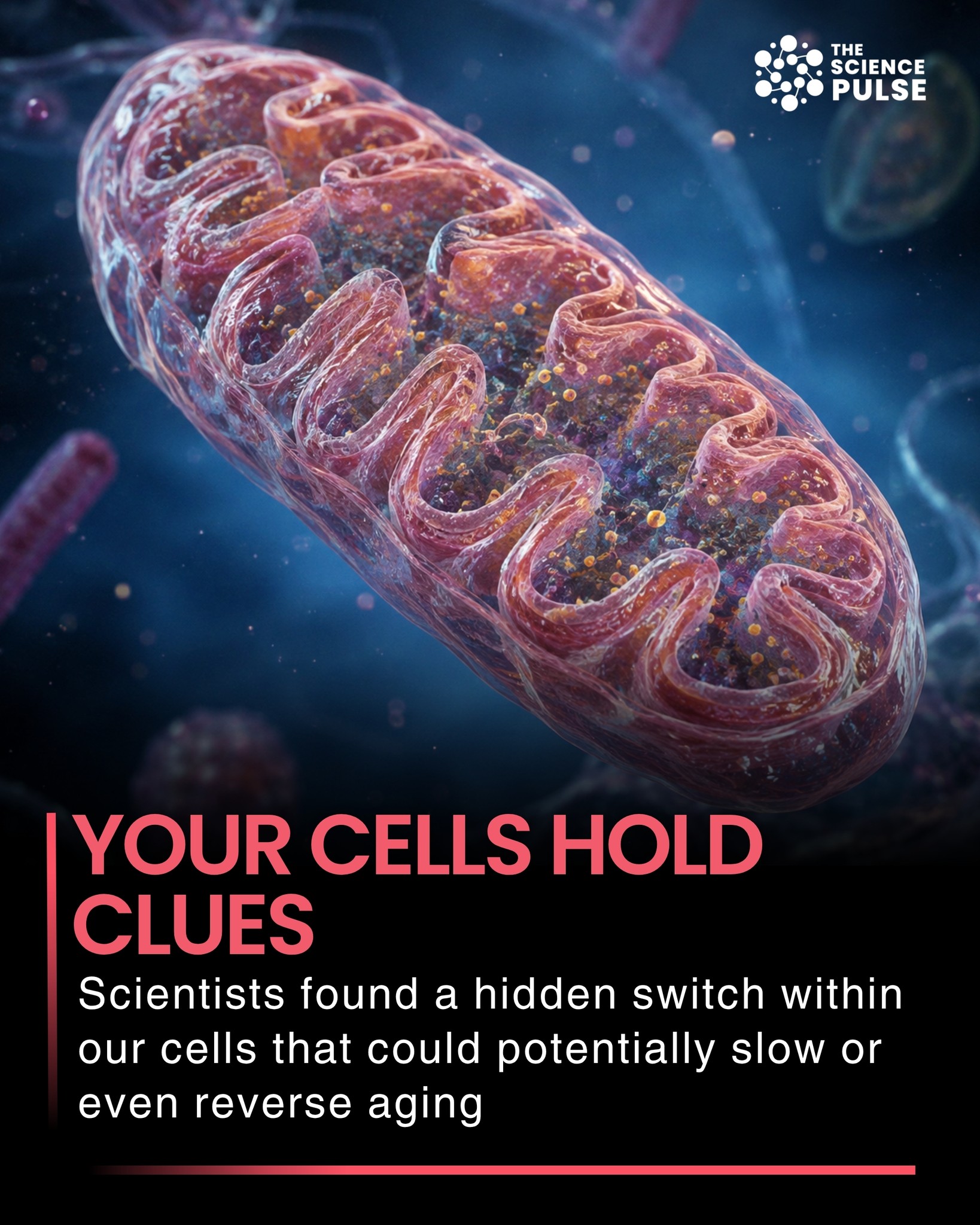 josh mitteldorf glutathione Scientists have identified a cellular process that could reshape how researchers study aging. A new Nature Communications study links an age related decline in phosphatidylcholine production to damaged mitochondrial networks, the systems Treatment:1 Month TOP 10 BEST Ozempic Other Hormones