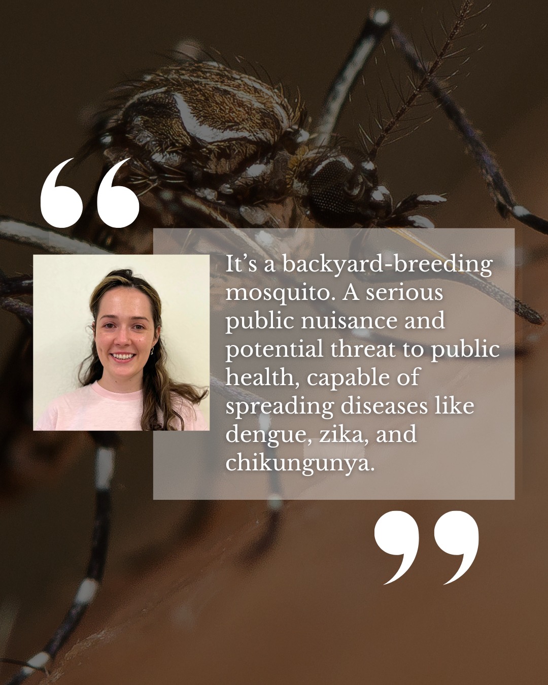 County - Did you see the news about the chikungunya outbreak in China ...