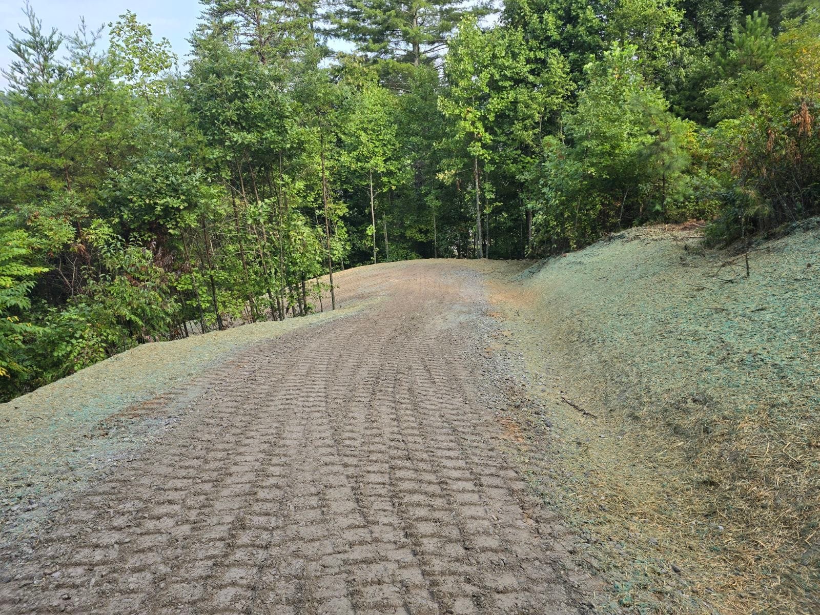 Tucker's Tree Service & Excavating, Inc. | Blue Ridge GA