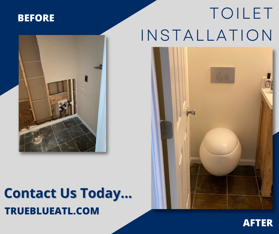 True Blue Plumbing Services - This was a very elaborate toilet ...
