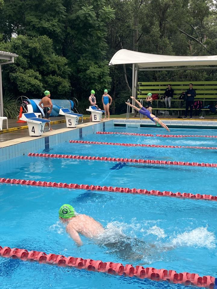Ku-Ring-Gai Amateur Swimming Club | West Pymble NSW