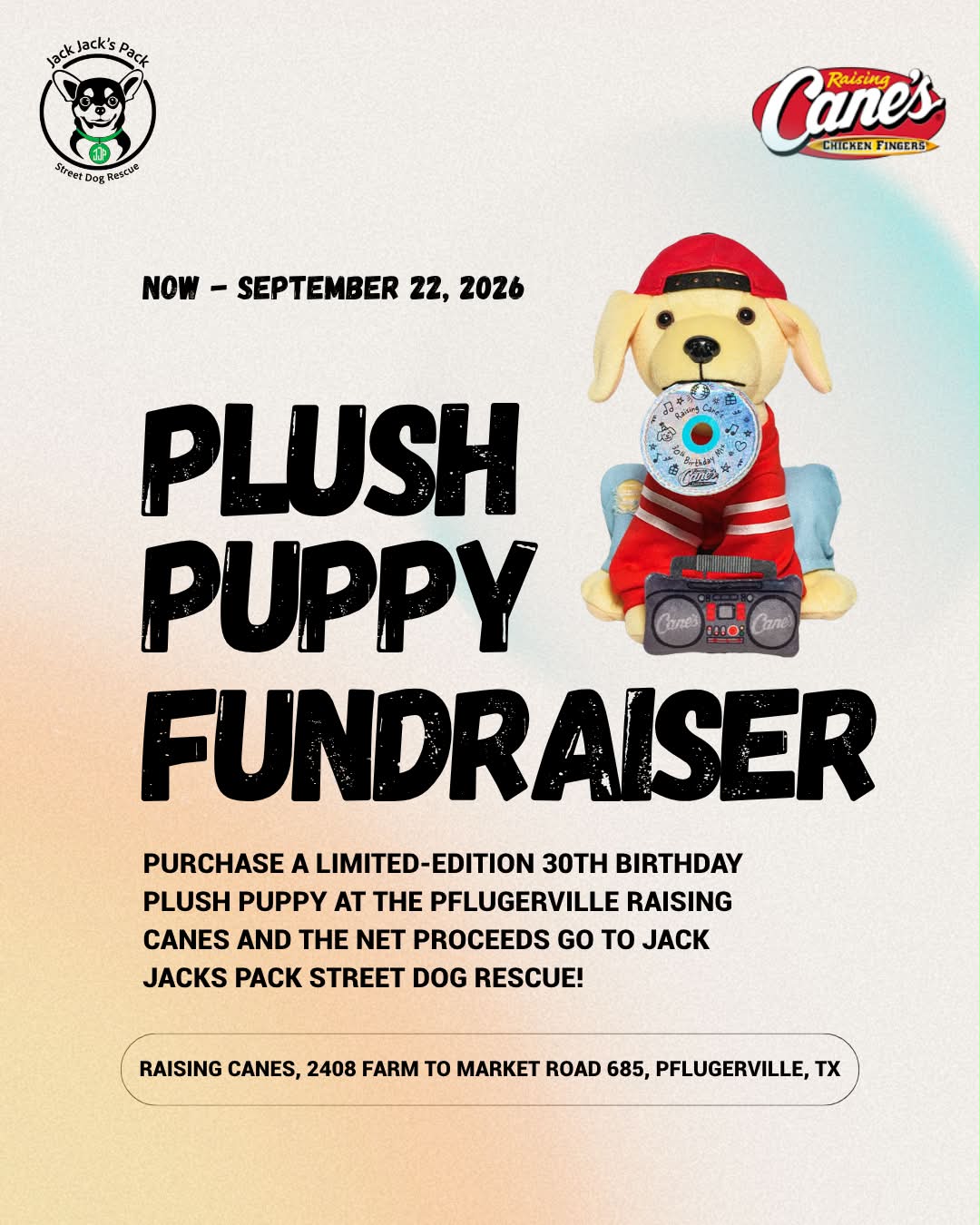 Raising Cane's 30th birthday plush puppy fundraiser in Pflugerville