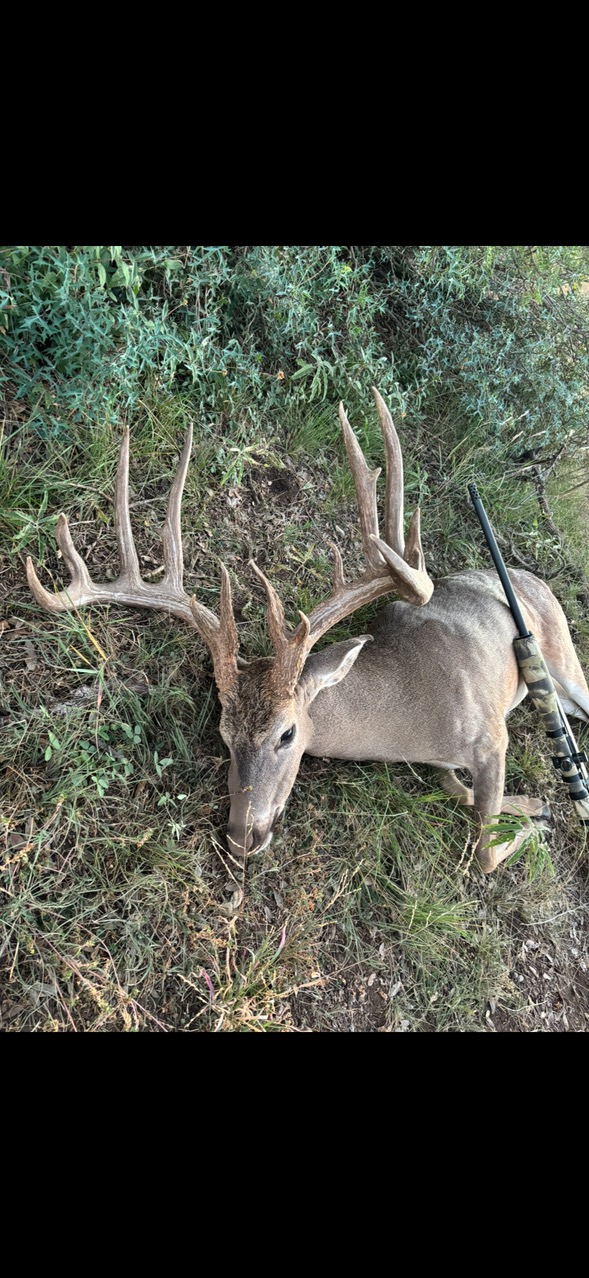 Lucky Draw Ranch | Menard TX