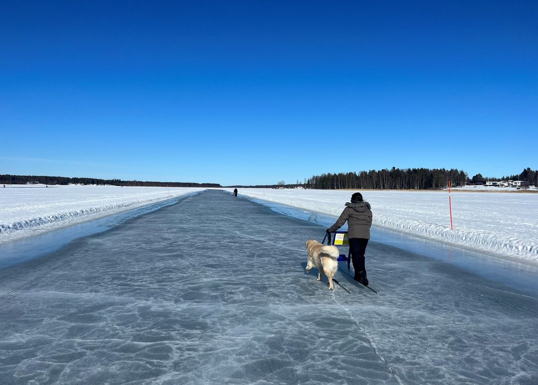 Piteå - ☀️ Idag stänger isbanan vid Norrstrand för säsongen. Värme och ...