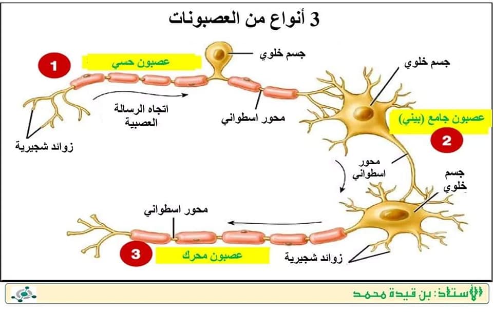 قصر العلوم الطبيعية Tipaza Algerie Education Website College University Facebook