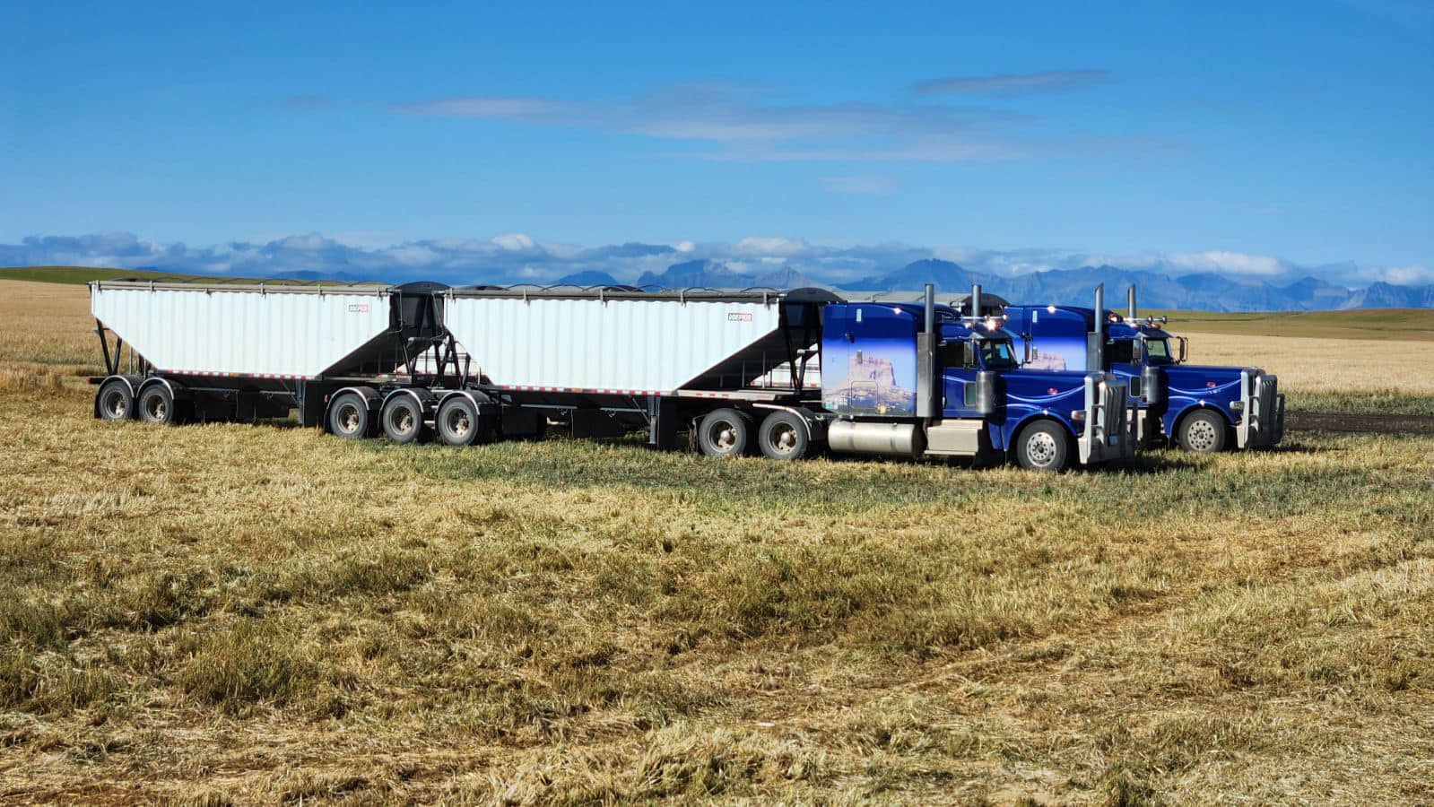 Lowe Ranches Inc. | Nanton AB