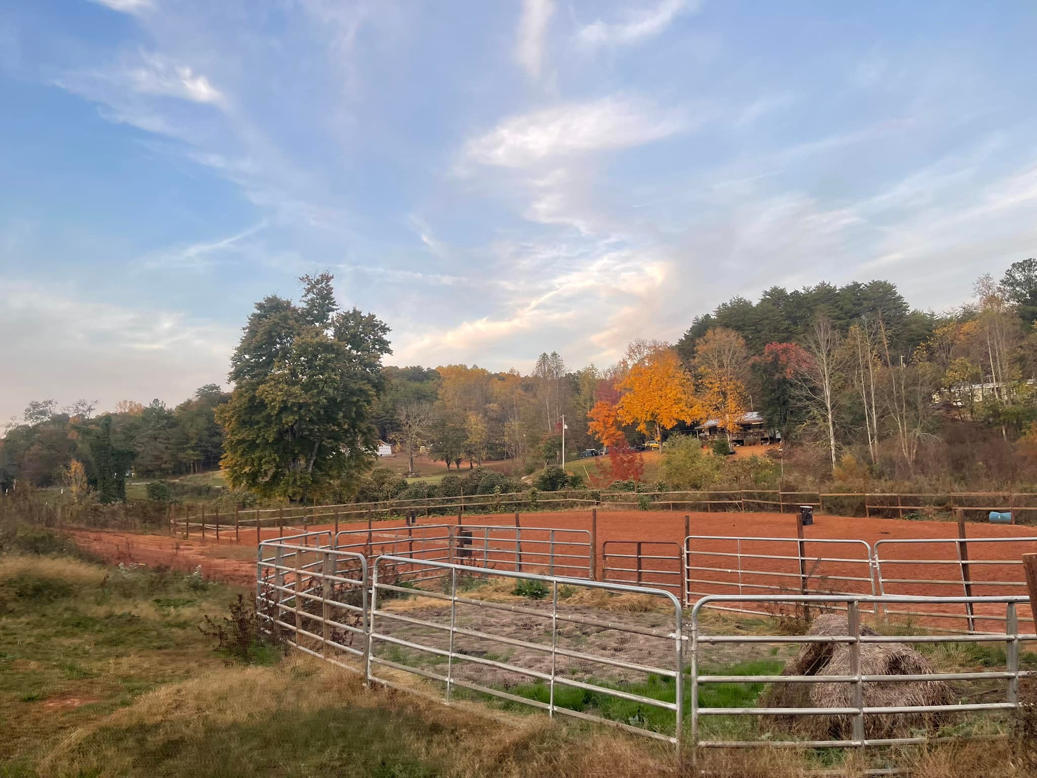 Redemption Ranch - Rikki Lee Horsemanship