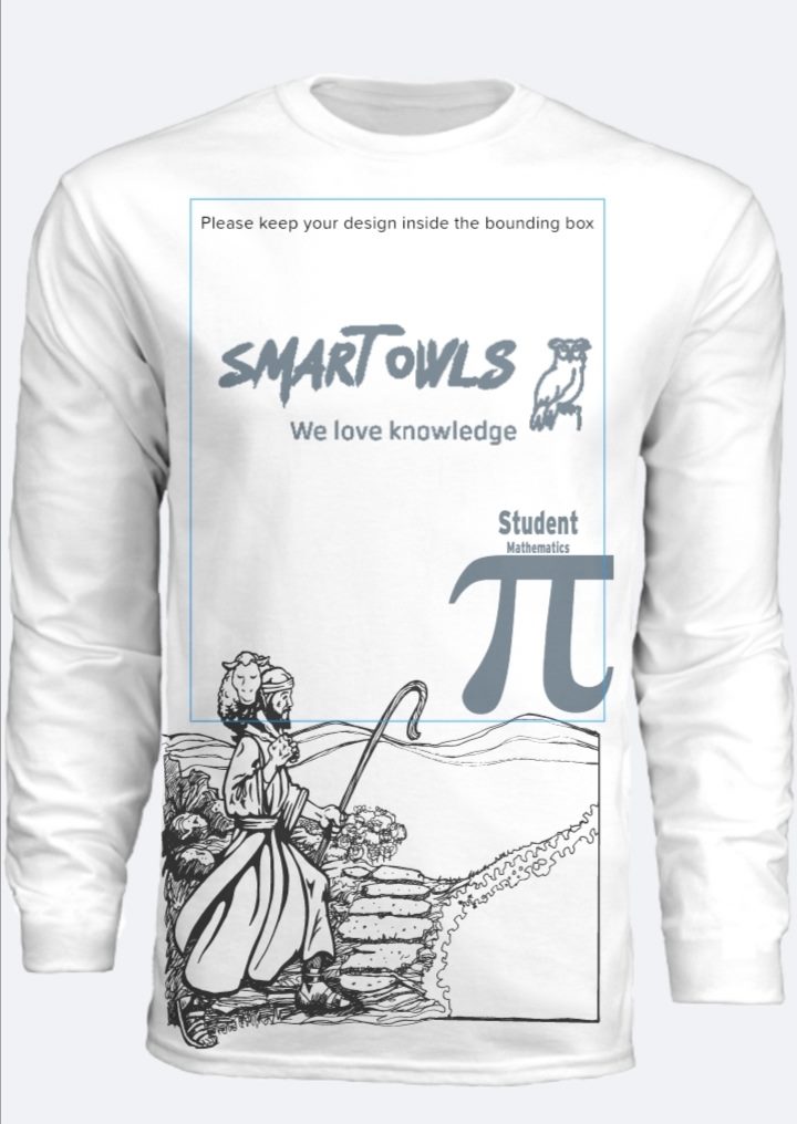 Smart Owls - Institute of Mathematical and Computational Sciences