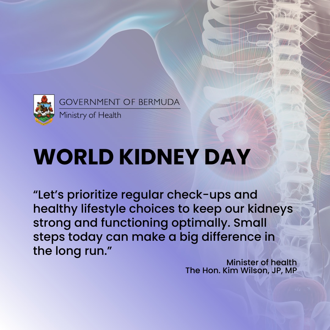 The Government - World Kidney Day: A Call to Action for Kidney Health ...