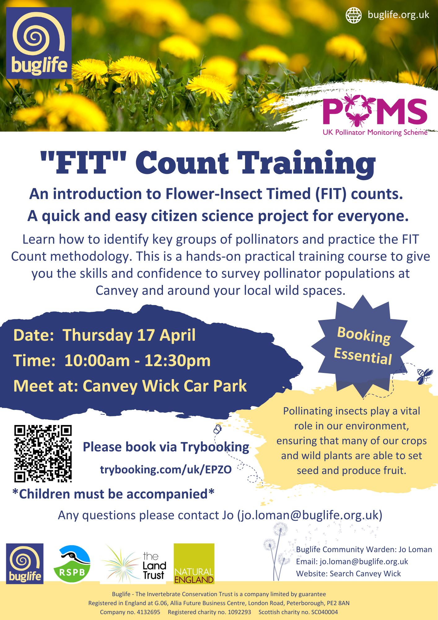 Buglife - Are you joining Canvey Wick Community Warden, Jo, to learn ...