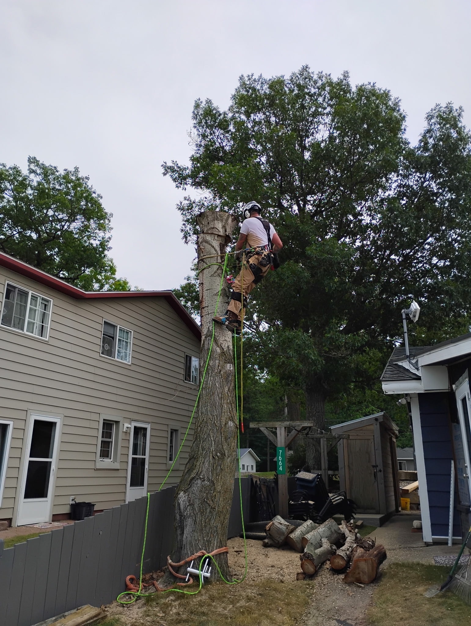 Patriot Tree Service LLC | Sebewaing MI