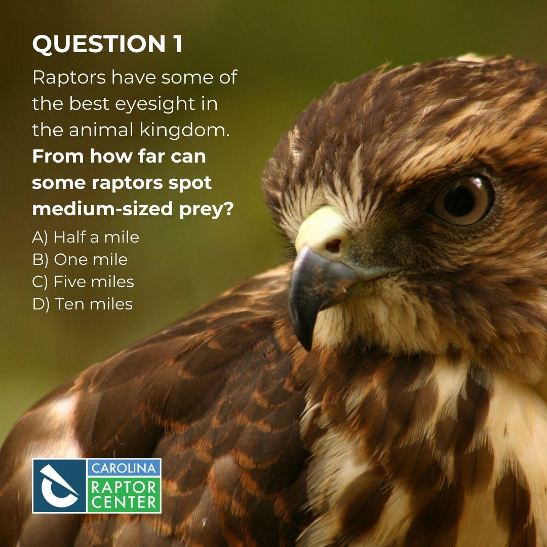 Carolina Raptor Center | Huntersville NC