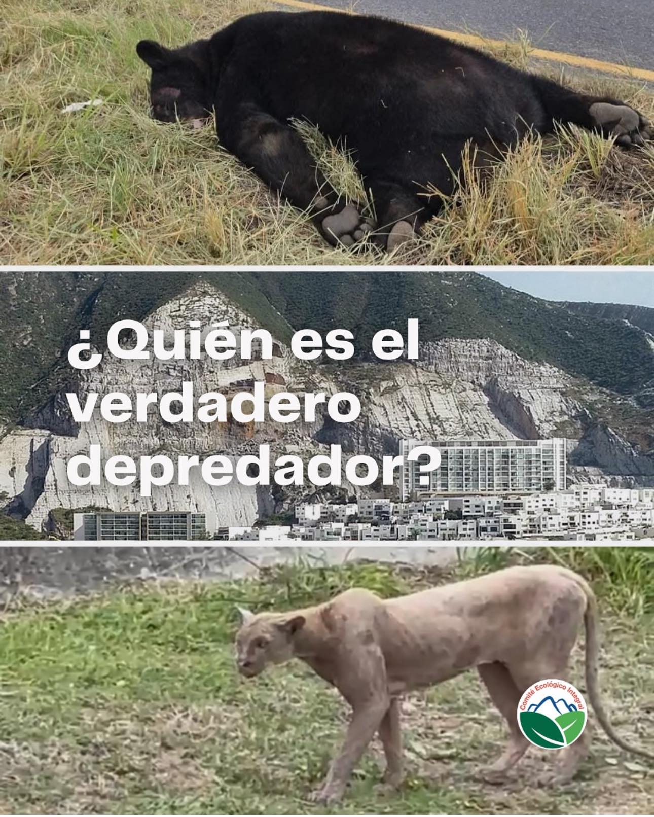Enrique - Nuevo León tiene una visión del éxito como modelo de ciudad ...