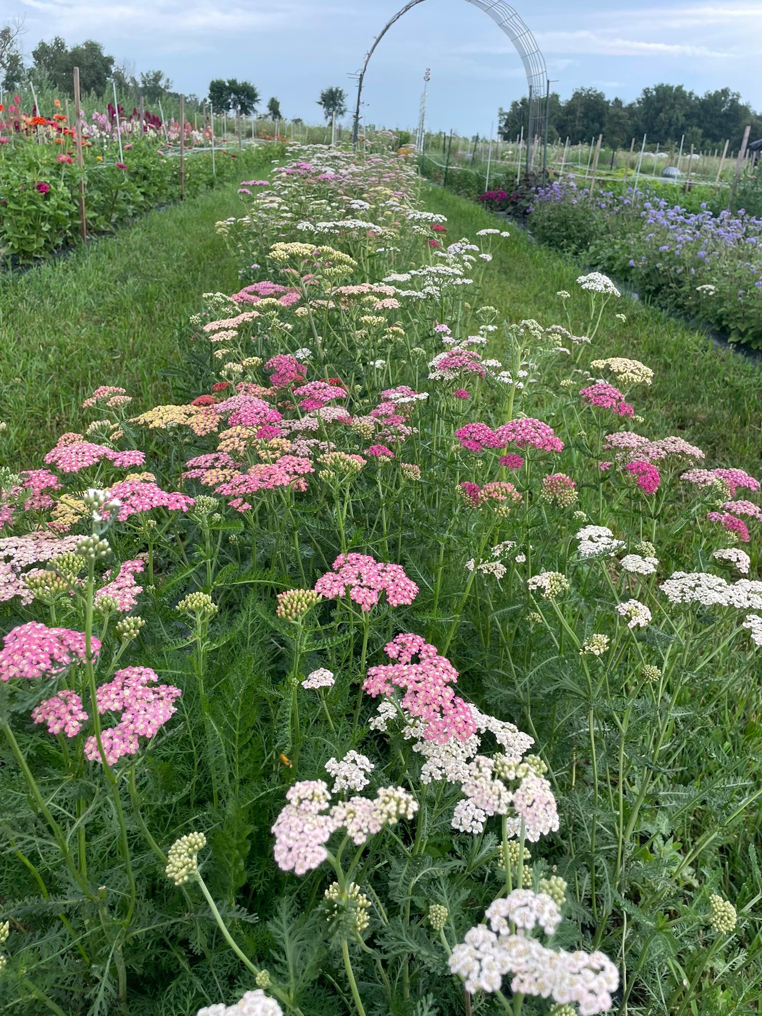 Hale Family Farms | Sandusky MI
