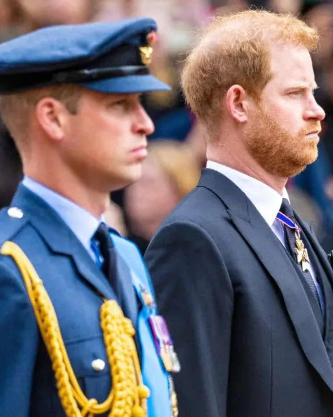 Wonderwall - Prince Harry and Prince William might be living separate ...
