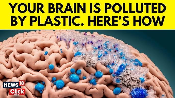 簡志龍醫師 - 《塑膠微粒正在蠶食你的大腦》 最近大腦醫學期刊（Brain... | Facebook