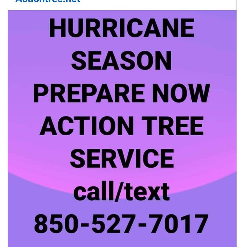 Action Tree Service