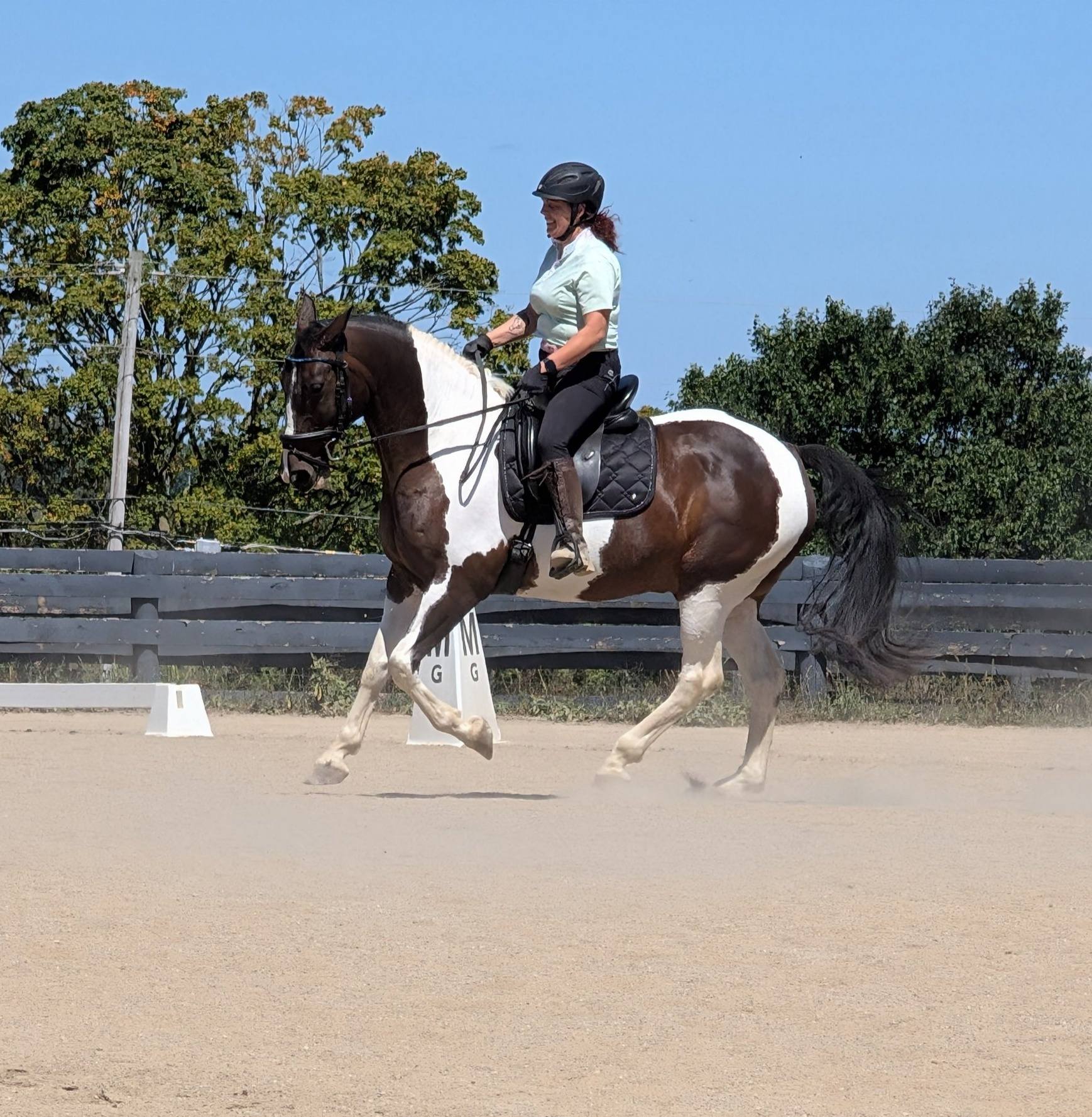 Masterfare Equestrian Center | Johnstown OH