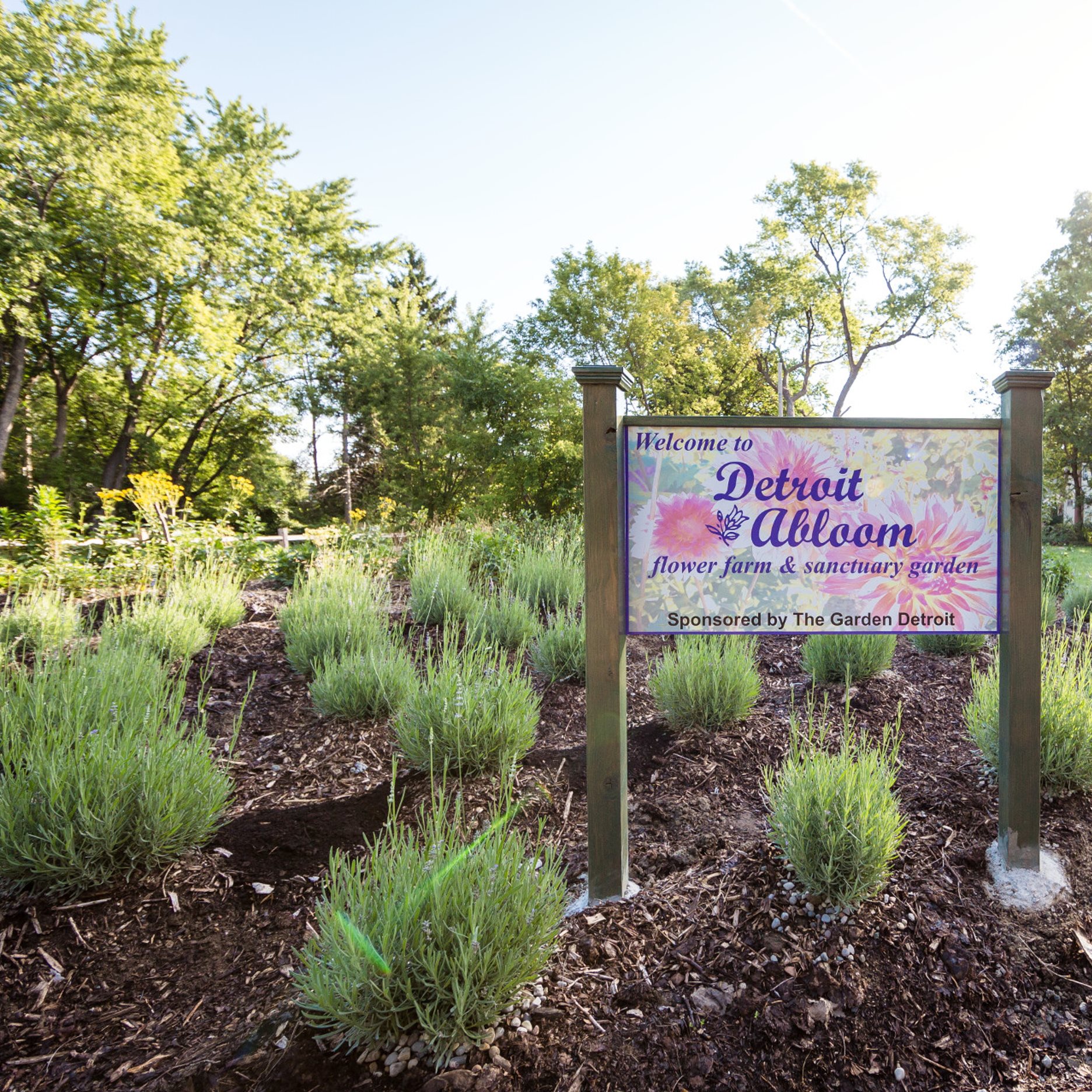 What does inclusive and accessible... - Detroit Design 139 | Facebook